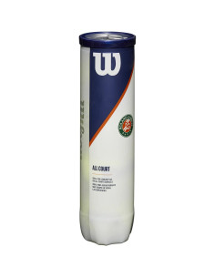 Pelotas Wilson Roland Garros All Court (4) | FOMPlay