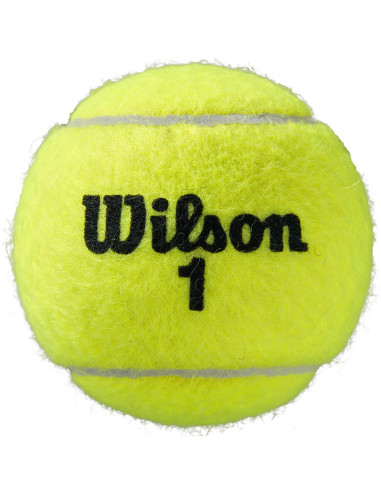 Pelotas Wilson Roland Garros All Court (4) | FOMPlay