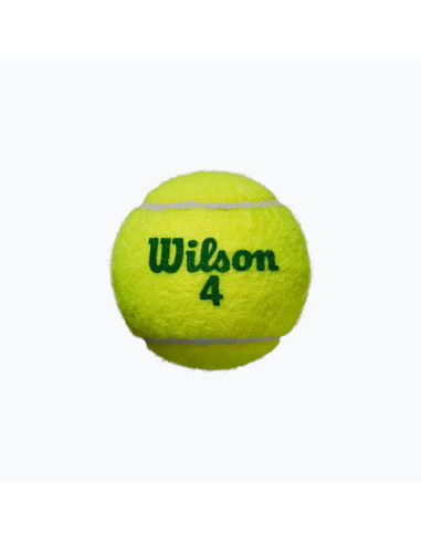 Pelotas Wilson Starter Tour Green (4) | FOMPlay