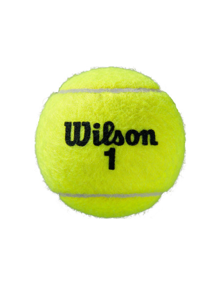 Pelotas Wilson Roland Garros Clay Court (4) | FOMPlay